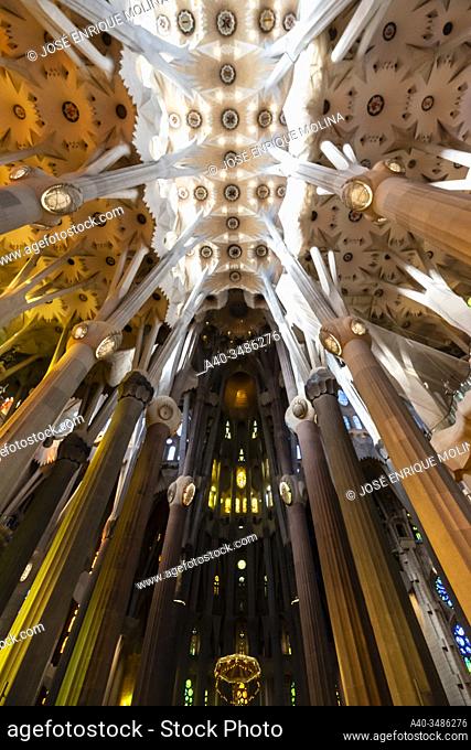 Basilica of La Sagrada Familia, Interior of basilica, Barcelona, Catalonia, Spain