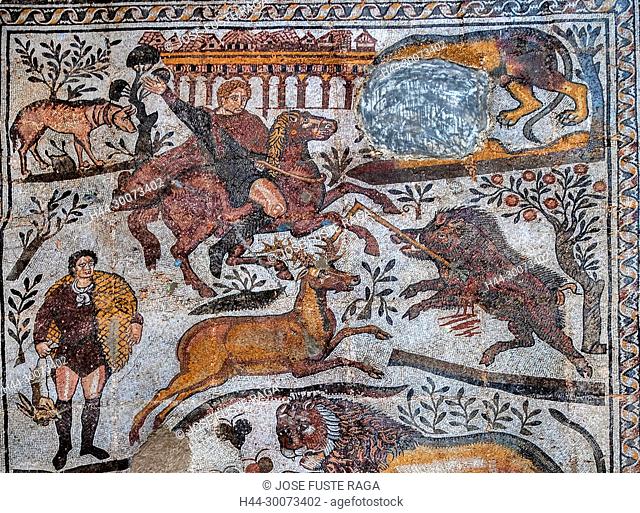 Algeria, Djemila City, Roman ruins of Djemila City, UNESCO, W.H. Djemilla Archeological Museum, Roman Mosaics