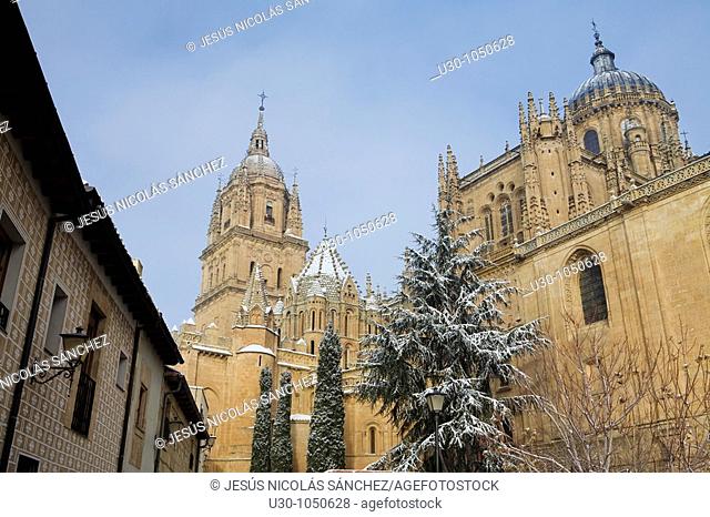 Cathedrals of Salamanca city in winter  World Heritage City in Castilla y León, Spain