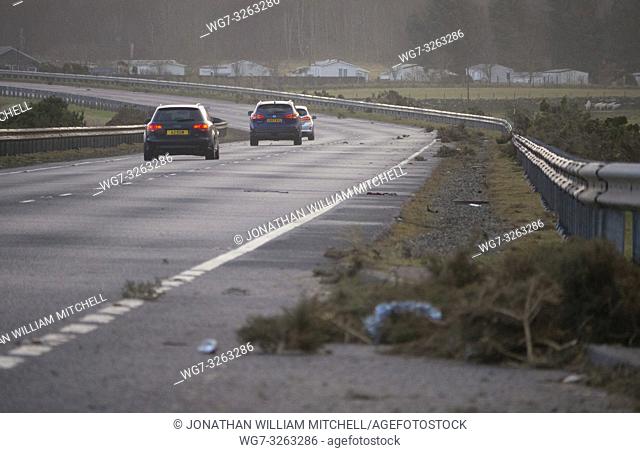 NEAR TAIN, SCOTLAND, UK - 07 Jan 2019 - Gorse bushes were ripped from their roots and blown onto the A9 Dornoch Firth causeway today as Storm Deirdre lashed the...