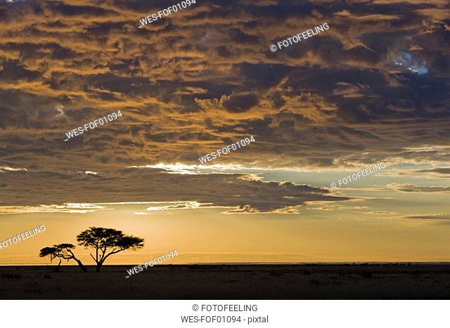 Africa, Namibia, Etosha National Park, Sunset
