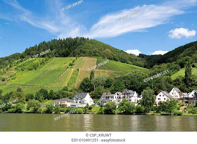 View at Bullay, a little town along the river Moselle in Germany