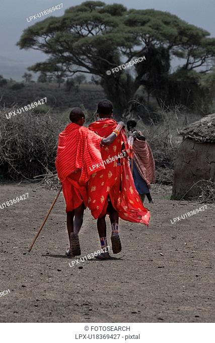 Masai, African, Maasai, Kenya, Amboseli, Nilote, Africa