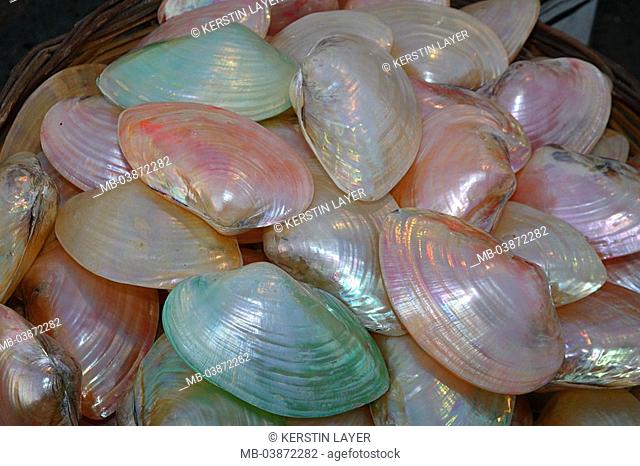 Greece, market, basket, sale, mussel-peels, colorfully, gleams, series, souvenir-sale, souvenirs mussels lime-peels green, pink shines, mother-of-pearl, retails