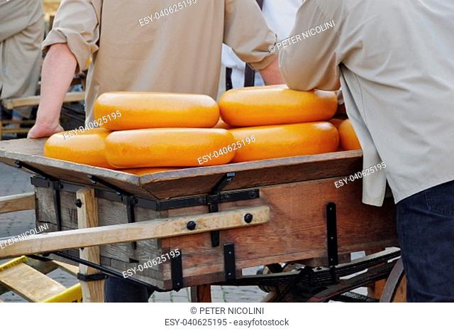 cheese market in alkmaar, north holland
