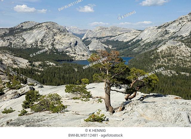 Tenaya Lake at Tioga Road, USA, California, Yosemite National Park