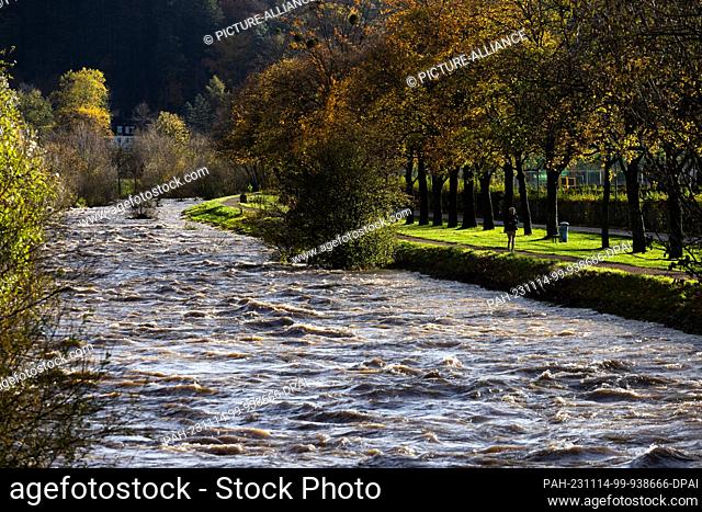 14 November 2023, Baden-Württemberg, Freiburg im Breisgau: A jogger runs along the flooded Dreisam. Heavy continuous rain has led to a massive rise in the level...