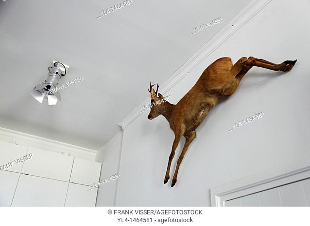 Stuffed deer on the wall next to a modern design lamp. Interior shop Het Utrechts Landschap foundation, Netherlands