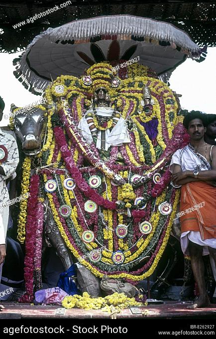 Lord Kumbeswarar with Goddess Mangalambigai in decorated Rishaba Vahanam places on the bank of the Mahamakham tank in Kumbakonam, Tamil Nadu, India, Asia
