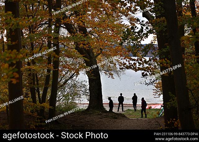06 November 2023, Bavaria, Herrsching: Windsurfers wait for the wind on the shore of Lake Ammersee during a lull. Photo: Karl-Josef Hildenbrand/dpa