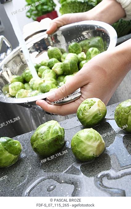 Close-up of a person's hand washing Savoy cabbage in the kitchen sink