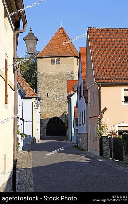 Tithe tower, plague gate, built in the 14th century, Iphofen, Lower Franconia, Bavaria, Germany, Europe