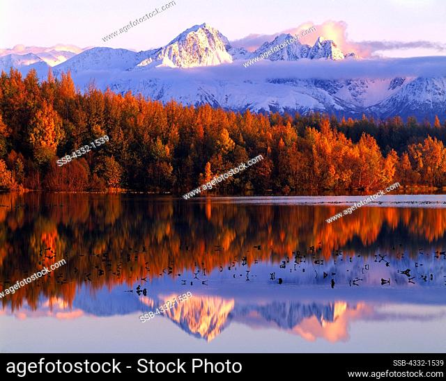 Autumn reflection of Goat Mountain and Twin Peaks of the Chugach Range in Cottonwood Lake, Matanuska Valley between Palmer and Wasilla, Alaska