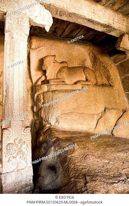 Details of carvings of a cow at Krishna Mandapa, Mahabalipuram, Kanchipuram District, Tamil Nadu, India