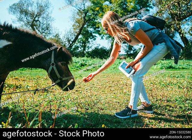 Long-haired beautiful young blonde woman in a pink T-shirt, light blue jeans and tied at the hips denim jacket, bent over and feeding an apple to a brown pony...