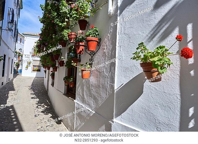 Flowerpots in Barrio de la Villa (old quarter), Priego de Cordoba, Sierra de la Subbetica, Route of the Caliphate, Cordoba province, Andalusia, Spain