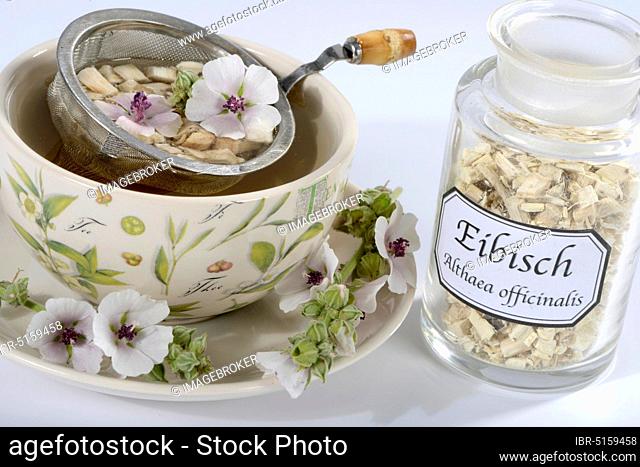 Cup (Althea officinalis) marshmallow root tea, marshmallow, roots, marshmallow roots, marshmallow root tea, Ade root, Altee, Alter Thee, Alte Eh, Driantenwurzel