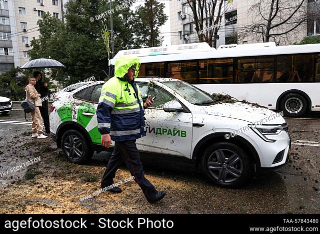 RUSSIA, SOCHI - MARCH 13, 2023: A traffic police officer is seen by the car in Gorkogo Street on which a cypress tree has fallen blocking the traffic in both...