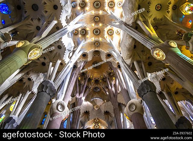 The famous ceiling with pillars inside the Sagrada Familia by Antoni Gaudi in Barcelona, Spain, Europe