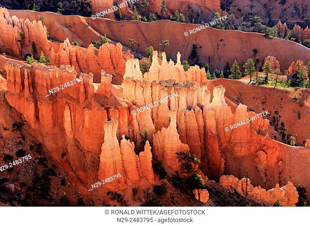 Bryce Canyon National Park, North America, USA, South-West, Utah