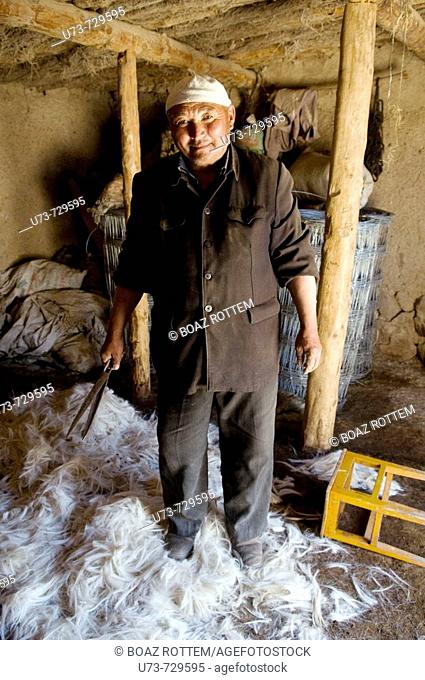 A friendly Kazakh man cuts down the wool of his sheep