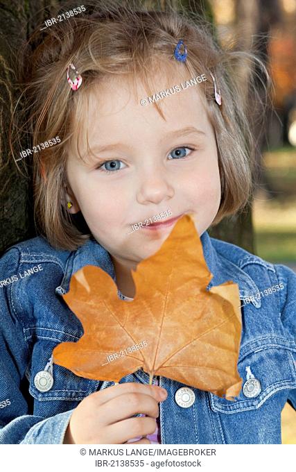 Girl, 4, in autumn holding a leaf in her hand