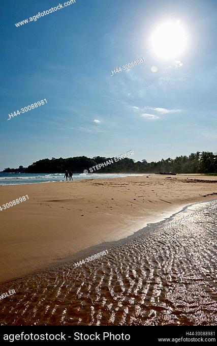 Sri Lanka, Southern Province, Sud du Sri Lanka, Süd Sri Lanka, South Sri Lanka, Talalla, plage, Strand, beach, palmier, palmiers, Palme, Palmen, palm tree