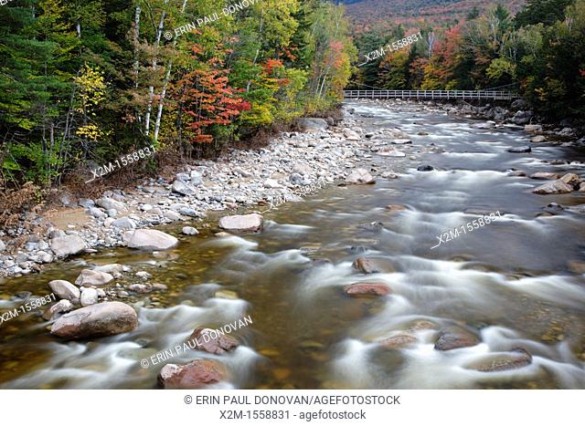 East Branch of the Pemigewasset River during the autumn months in Lincoln, New Hampshire USA  The Lincoln Woods Trail Suspension bridge is in view