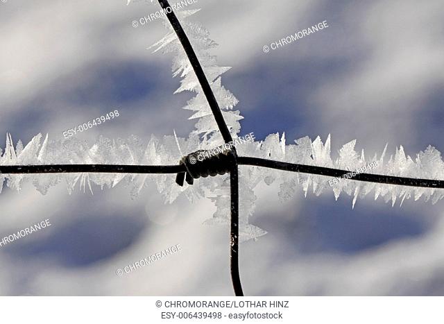 Barbed wire with ice crystals