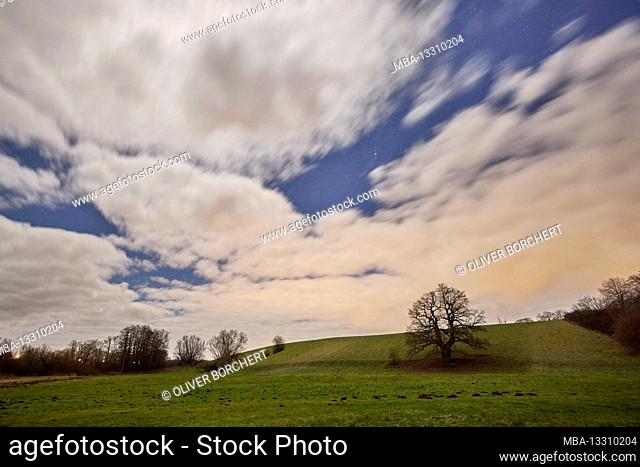 Germany, Mecklenburg-Western Pomerania, landscape in the moonlight, trees, sky, clouds, night