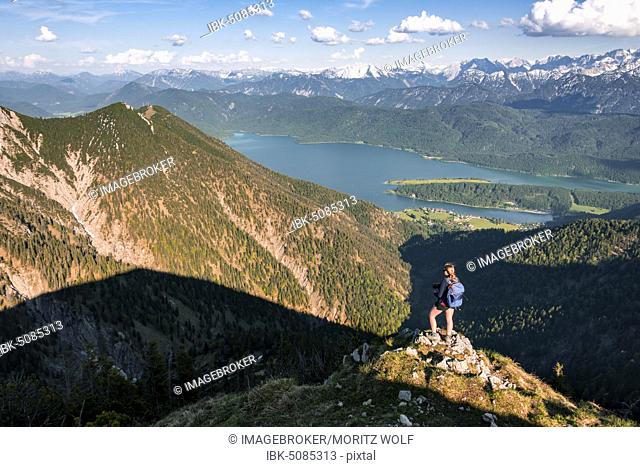 Hiker looks over mountain landscape and Walchensee, hiking trail, Herzogstand Heimgarten crossing, Upper Bavaria, Bavaria, Germany, Europe