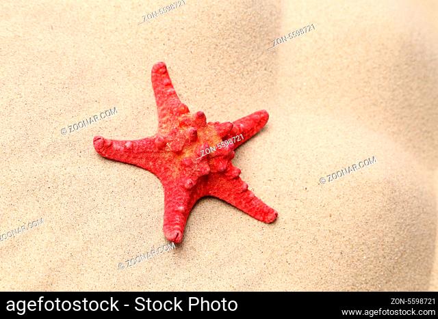 Red starfish on a sand background. Close up