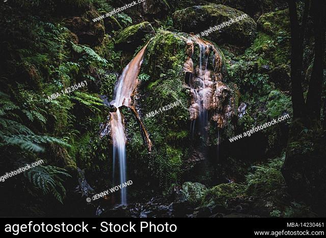 Waterfall, jungle, Ilha de Sao Miguel, Azores, Portugal