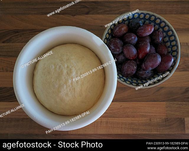 10 September 2023, Berlin: A yeast dough consisting of flour, milk, yeast, salt, sugar and butter lies in a bowl to rise