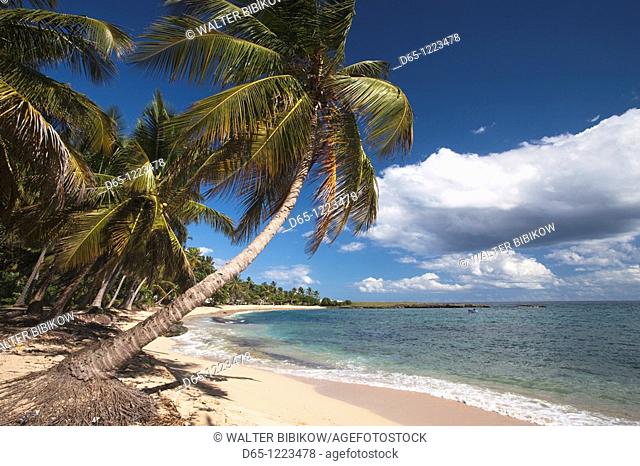 Dominican Republic, Samana Peninsula, El Frances, Playa El Frances beach
