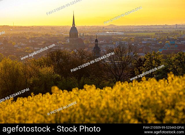 09 May 2021, Lower Saxony, Hildesheim: A field of rape blossoms at sunrise in front of the silhouette of the city with the church of St
