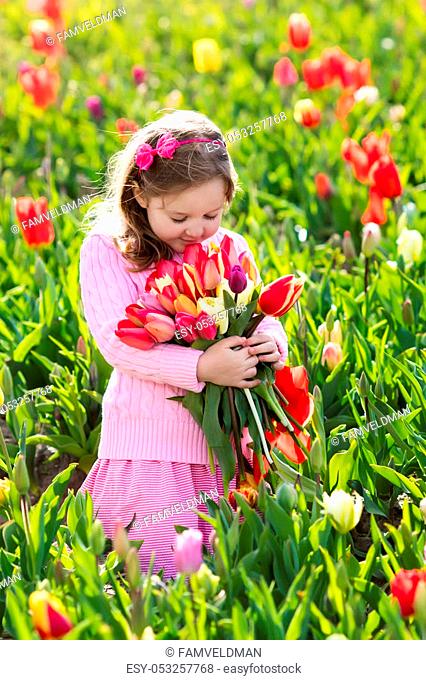 Child in tulip flower field. Little girl cutting fresh tulips in sunny summer garden. Kid with flower bouquet for mother day or birthday present