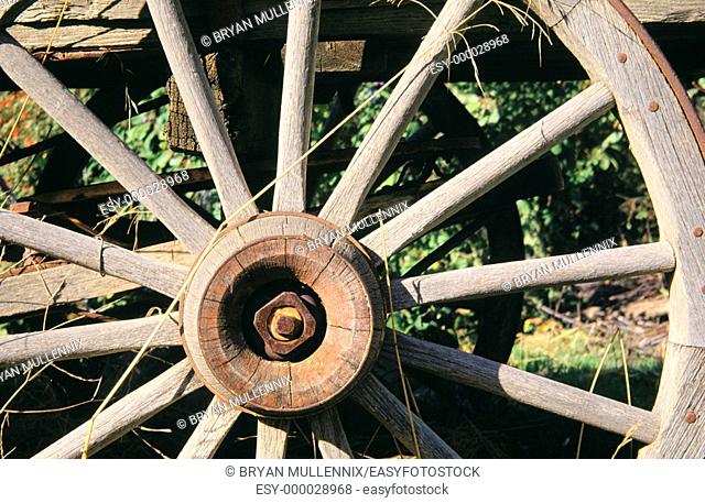Vagon wheel