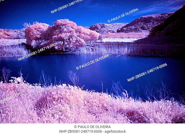 Alcabrichel river photographed on infrared light. Portugal