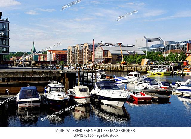 Nedre Elvehavn, Trondheim, Norway, Scandinavia, Europe