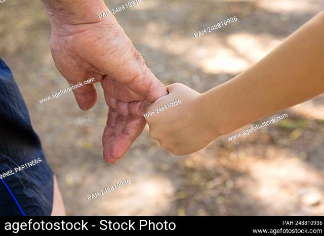 Close-up of grandfather holding his granddaughter hand in the forest || Model approval available