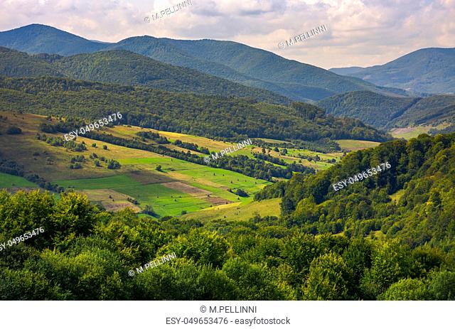 agricultural fields on grassy hills in mountains. beautiful rural landscape of Carpathians