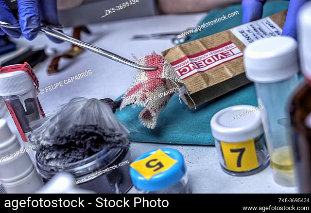 Police specialist examines piece of cloth stained with blood belonging to the victim of murder, conceptual image