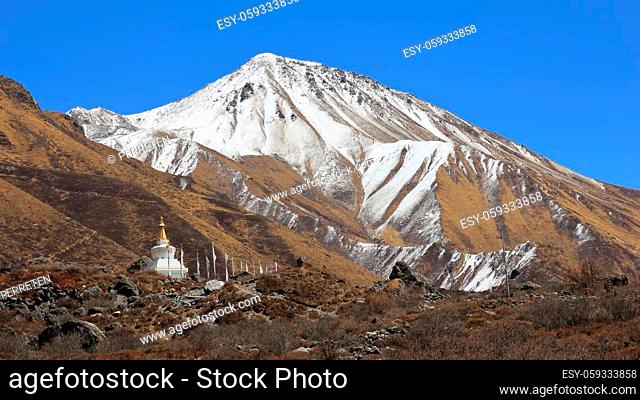 Spring scene in the Langtang valley. Mount Tserko Ri and small stupa