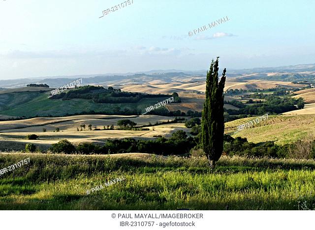 Tuscan landscape near Orciatico, Province of Pisa, Tuscany, Italy, Europe