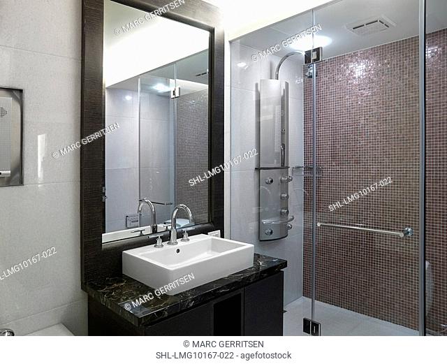 Modern glass shower and sink in bathroom