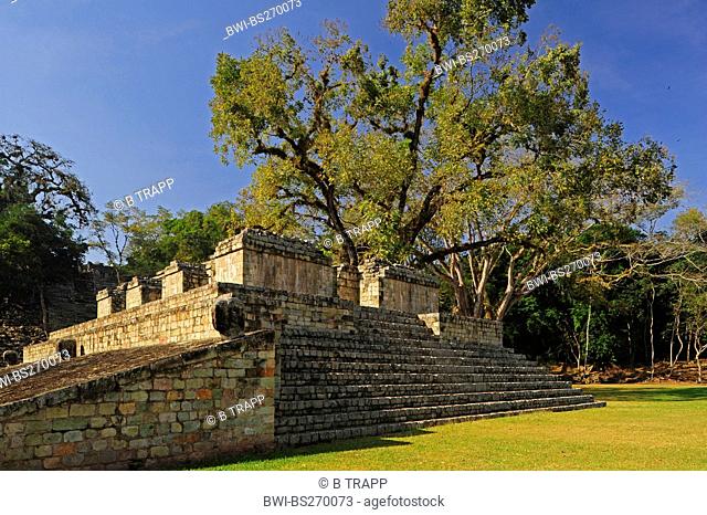 Mayan temple , Honduras, Copan