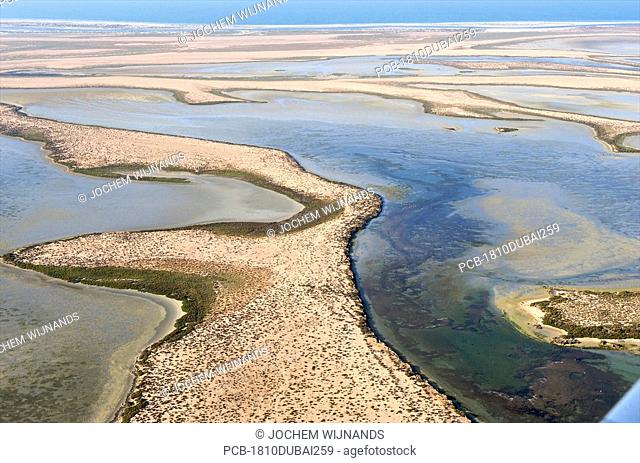 UAE, the wetland at the coast of Umm al Quain