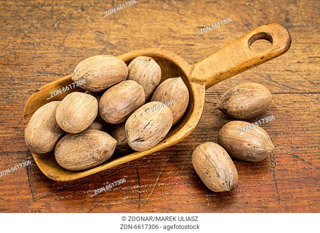 pecan nuts in rustic scoop