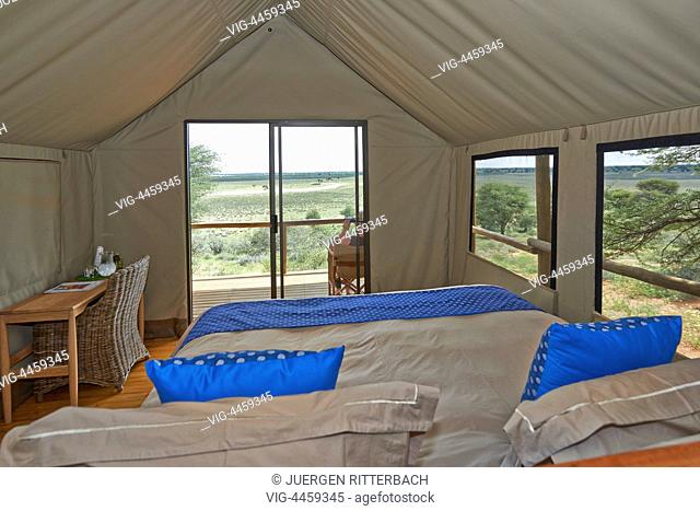 interior view of room in Polentswa Tented Camp, Kgalagadi Transfrontier Park, Kalahari, South Africa, Botswana, Africa - Kgalagadi Transfrontier Park